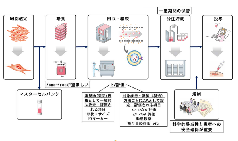幹細胞培養上清液とは?
